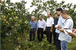 Bước chuyển mình ở Phúc Thuận